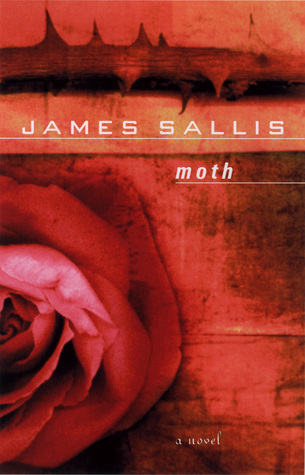 Moth (Lew Griffin, #2)