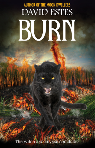 Burn (Salem's Revenge, #3)