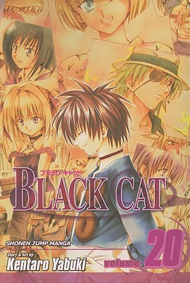 Black Cat, Volume 20