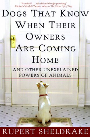 Dogs That Know When Their Owners Are Coming Home & Other Unexplained Powers of Animals
