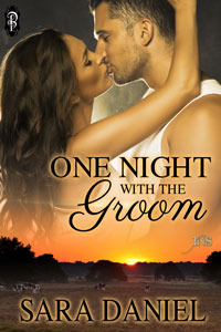 One Night With the Groom (One Night with the Bridal Party, #3)