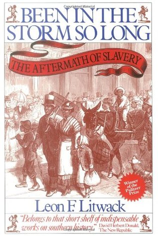 Been in the Storm So Long: The Aftermath of Slavery