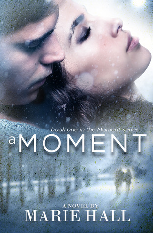 A Moment (Moments, #1)