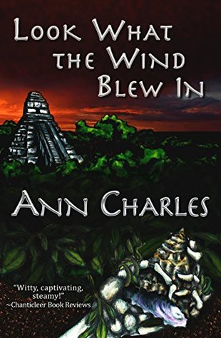 Look What the Wind Blew In (Dig Site Mysteries, #1)