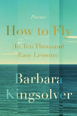 How to Fly in Ten Thousand Easy Lessons