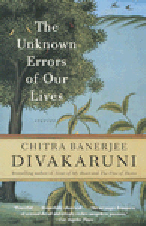 The Unknown Errors of Our Lives