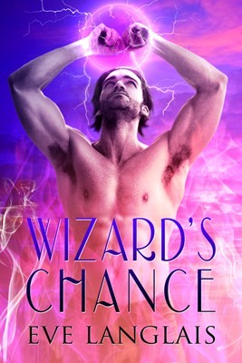 Wizard's Chance (The Realm, #1)