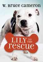 Lily to the Rescue (Lily to the Rescue! #1)