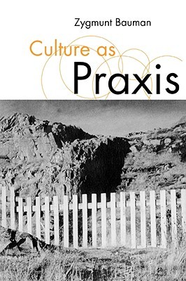 Culture as Praxis