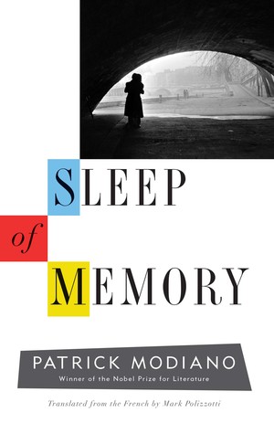 Sleep of Memory: A Novel