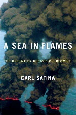 A Sea in Flames: The Deepwater Horizon Oil Blowout