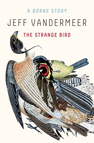 The Strange Bird: A Borne Story (Borne, #1.5)