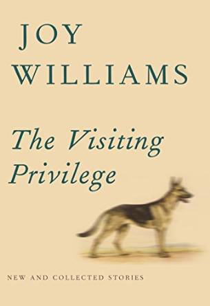 The Visiting Privilege: New and Collected Stories