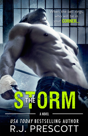 The Storm (The Hurricane, #3)