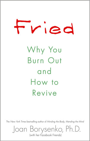 Fried: Why You Burn Out and How to Revive