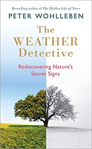 The Weather Detective: Rediscovering Nature’s Secret Signs