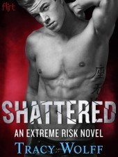 Shattered (Extreme Risk, #2)