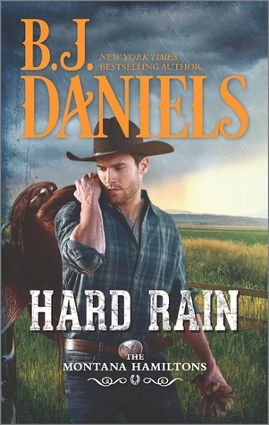 Hard Rain (The Montana Hamiltons, #4)