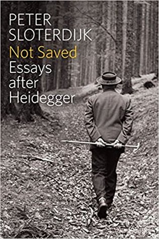 Not Saved: Essays After Heidegger