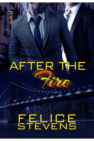 After the Fire (Through Hell and Back, #2)