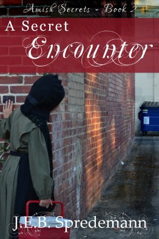 A Secret Encounter (Amish Secrets #2)