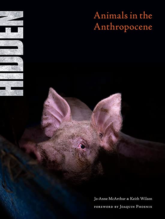 Hidden: Animals in the Anthropocene