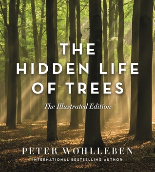 The Hidden Life of Trees: The Illustrated Edition