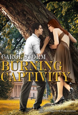Burning Captivity (The Charity Chronicles #2)