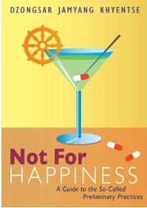 Not For Happiness: A Guide to the So-Called Preliminary Practices