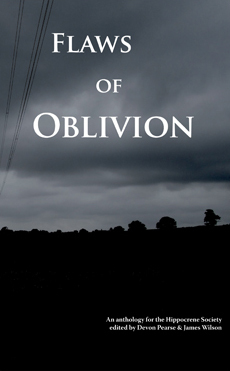 Flaws of Oblivion