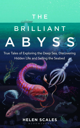 The Brilliant Abyss