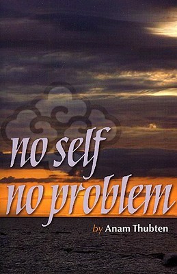 No Self No Problem: Awakening to Our True Nature