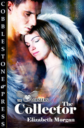 The Collector (The Overseers #1)