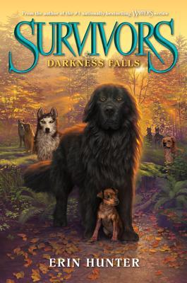 Darkness Falls (Survivors, #3)