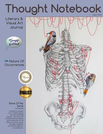 Nature Of Occurrences (Thought Notebook Journal #3)