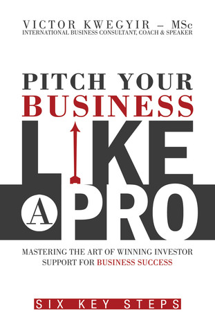 Pitch Your Business Like a Pro: Mastering The Art of Winning Investor Support For Business Success: Six Key Steps