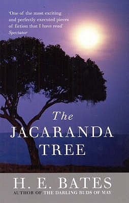 The Jacaranda Tree