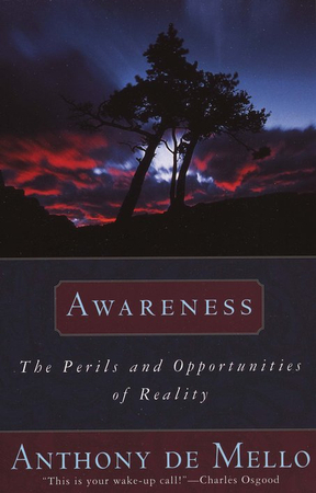 Awareness: The Perils and Opportunities of Reality