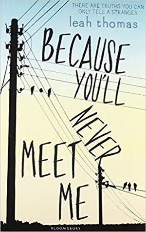 Because You'll Never Meet Me (Because You'll Never Meet Me, #1)
