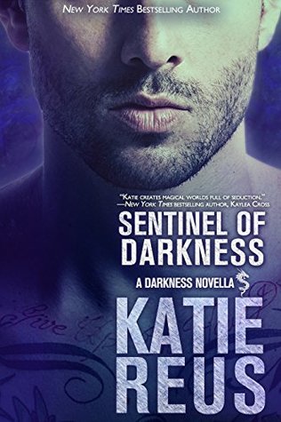 Sentinel of Darkness (Darkness, #7.5)