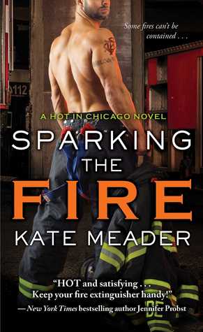 Sparking the Fire (Hot in Chicago, #3)
