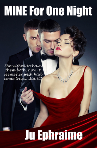 MINE For One Night (The Twin To Twin Saga #1)