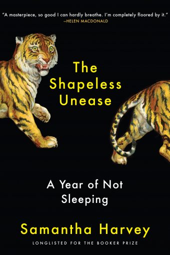 The Shapeless Unease: A Year of Not Sleeping