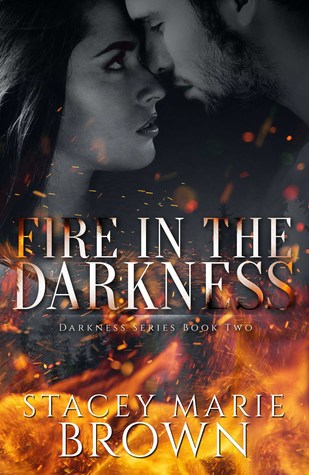 Fire in the Darkness (Darkness, #2)
