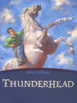 Thunderhead (Flicka, #2)