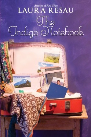 The Indigo Notebook (Notebook, #1)