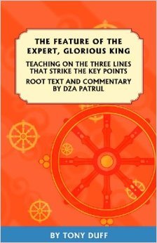 The Feature of the Expert, Glorious King: “Three Lines That Hit the Key Points.” Root text and commentary by Patrul Rinpoche