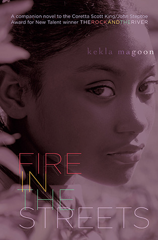 Fire in the Streets (The Rock and the River, #2)