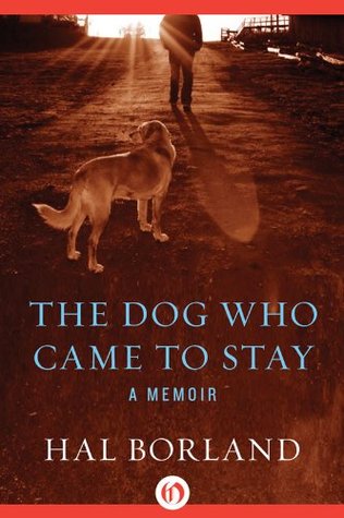 The Dog Who Came to Stay: A Memoir