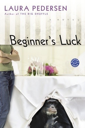 Beginner's Luck (Hallie Palmer, #1)